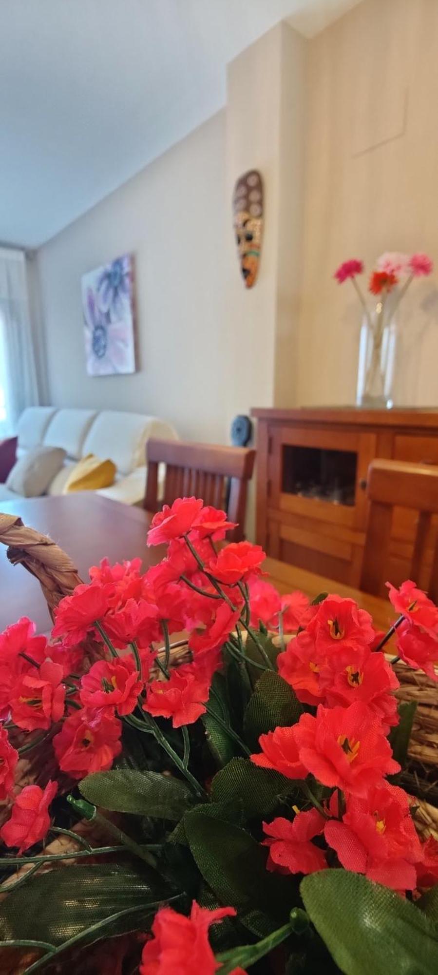 Ca L'Esmolet Apartment Tremp Bagian luar foto