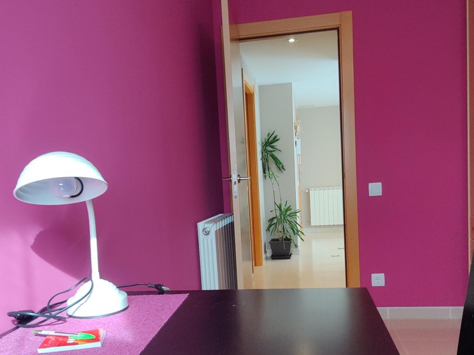 Ca L'Esmolet Apartment Tremp Bagian luar foto